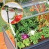 Canopia by Palram Serre de jardin en polycarbonate Gris 1.4m²