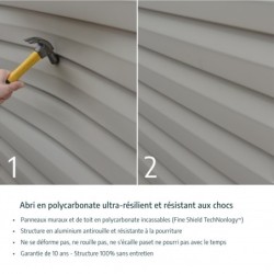 Canopia by Palram Abri de jardin résine Polycarbonate Gris 1.93m²