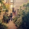 ACD Serre de jardin en verre 1.85m²