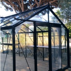 ACD Serre de jardin en verre Noir 22.59m²