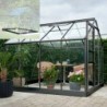 Halls Serre de jardin en verre Noir 5m²