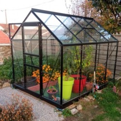 Halls Serre de jardin en verre Noir 5m²