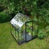 Halls Serre de jardin en verre Noir 3.9m²