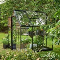 Halls Serre de jardin en verre Noir 3.9m²