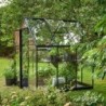 Halls Serre de jardin en verre Noir 3.9m²