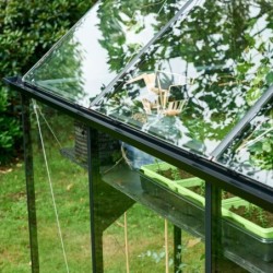 Halls Serre de jardin en verre Noir 3.9m²
