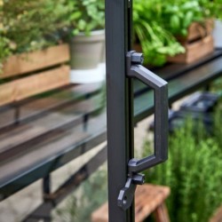 Halls Serre de jardin en verre Noir 3.9m²