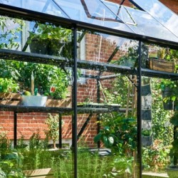 Halls Serre de jardin en verre Noir 3.9m²