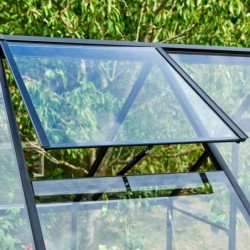 Halls Serre de jardin en verre Noir 3.9m²
