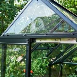 Halls Serre de jardin en verre Noir 3.9m²