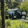 Lams Serre de jardin en verre Au choix 10.64m²