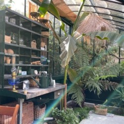 Lams Serre de jardin en verre Au choix 12.74m²