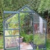 Lams Serre de jardin en verre Vert 3,7m²