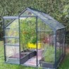 Lams Serre de jardin en verre Vert 3,7m²