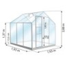 Lams Serre de jardin en verre Vert 3,7m²
