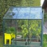Lams Serre de jardin en verre Vert 3,7m²