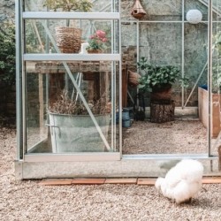 Lams Serre de jardin en verre Gris 9.7m²