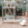Lams Serre de jardin en verre Gris 9.7m²