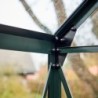 Halls Serre de jardin en verre Vert 12.9m²
