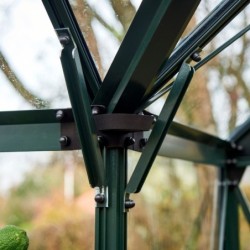 Halls Serre de jardin en verre Vert 12.9m²