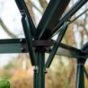 Halls Serre de jardin en verre Vert 12.9m²