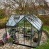 Halls Serre de jardin en verre Vert 12.9m²