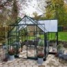 Halls Serre de jardin en verre Vert 12.9m²