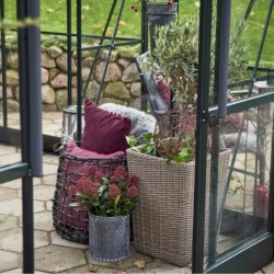 Halls Serre de jardin en verre Vert 12.9m²