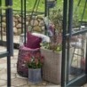 Halls Serre de jardin en verre Vert 12.9m²