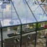 Halls Serre de jardin en verre Vert 12.9m²