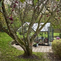 Halls Serre de jardin en verre Vert 12.9m²