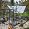 Halls Serre de jardin en verre Vert 12.9m²