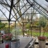 Halls Serre de jardin en verre Vert 12.9m²
