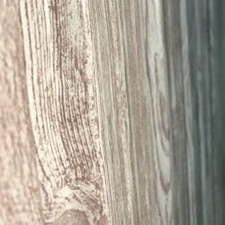 X-Metal Abri de jardin métal Acier galvanisé Beige 4.10m²