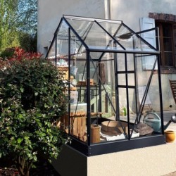 Lams Serre de jardin en verre Gris