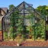 Lams Serre de jardin en verre Gris 8.1m²