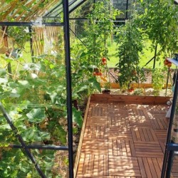 Lams Serre de jardin en verre Gris 8.1m²