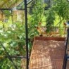 Lams Serre de jardin en verre Gris 8.1m²