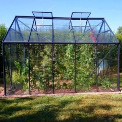 Lams Serre de jardin en verre Gris 8.1m²