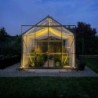 Lams Serre de jardin en verre Gris 9.7m²
