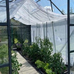 Lams Serre de jardin en verre Gris 9.7m²