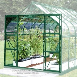 Lams Serre de jardin en verre Vert 8.1m²