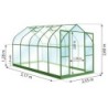 Lams Serre de jardin en verre Vert 8.1m²