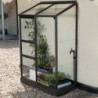 Lams Serre de jardin en verre Gris 0.9m²