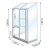 Lams Serre de jardin en verre Gris 0.9m²