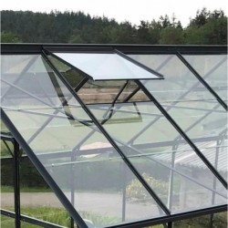 Lams Serre de jardin en verre Gris 0.9m²