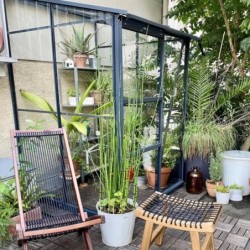 Lams Serre de jardin en verre Gris 1.7m²