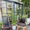 Lams Serre de jardin en verre Gris 1.7m²
