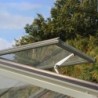 Lams Serre de jardin en verre Gris 38.20m²