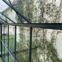 Green Protect Serre de jardin en verre Aluminium et verre trempé Gris 14.52m²